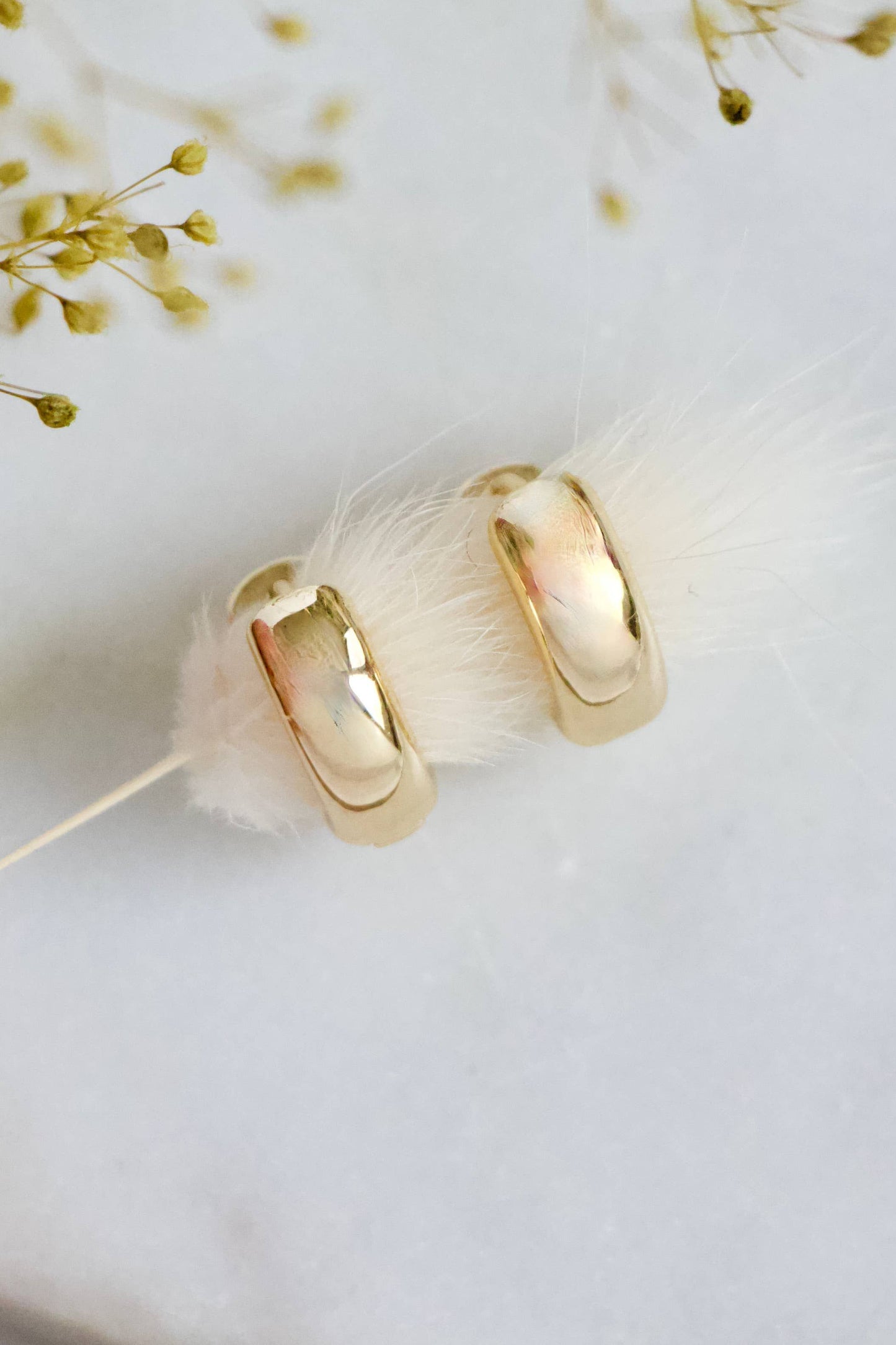 Chubby Hoop Earrings