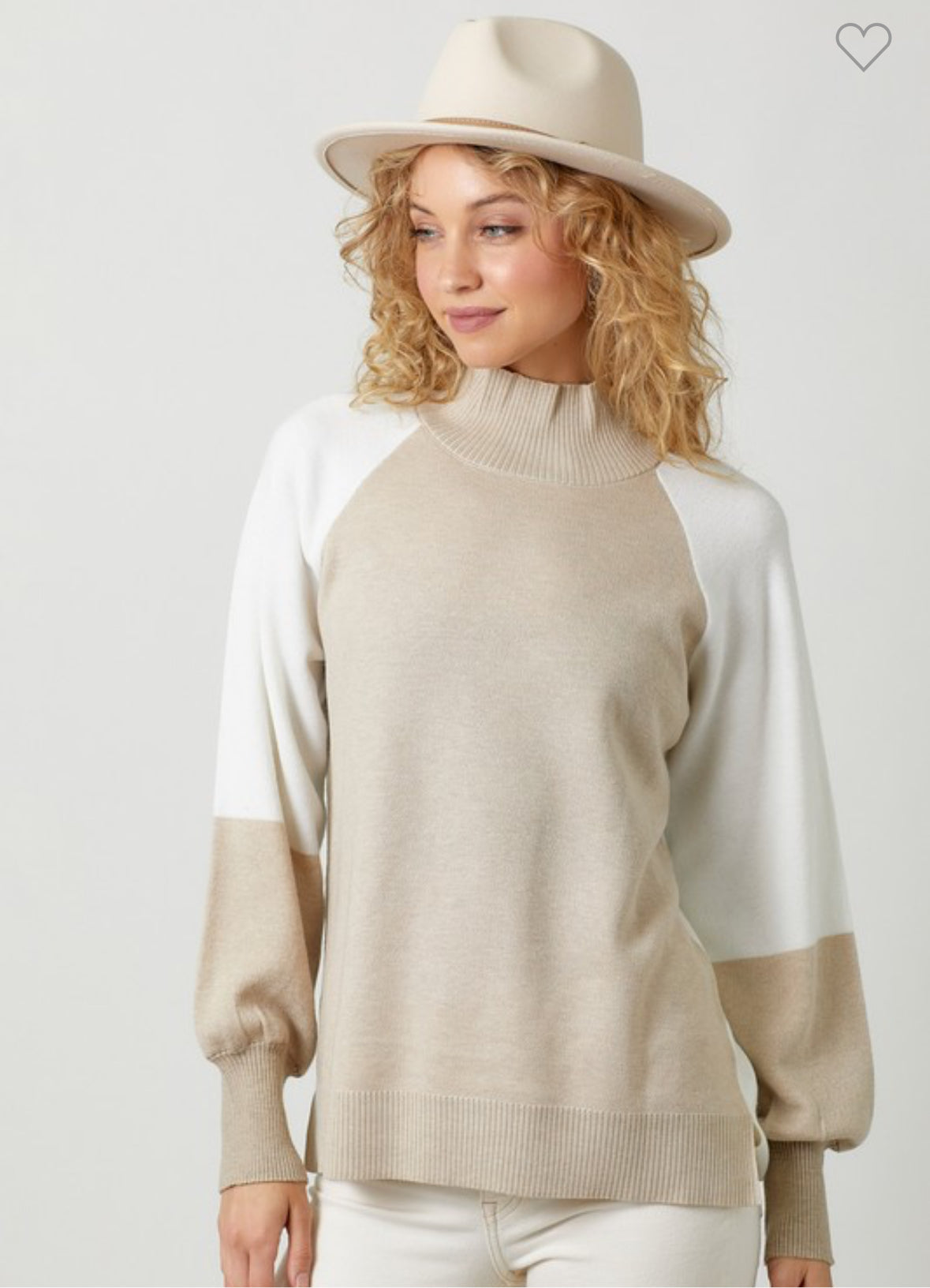 Madeline Mock Neck Color Block Sweater