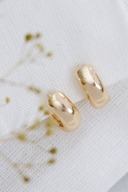 Chubby Hoop Earrings